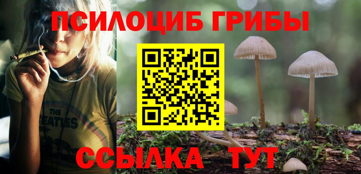 Сальск  наркота  Вход с VPN  Псилоцибиновые грибы GOLDEN TEACHER 