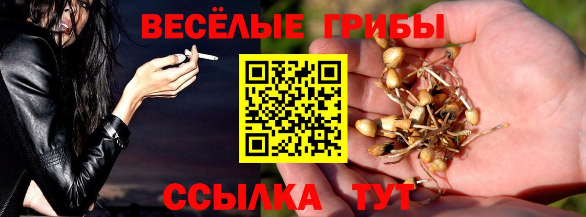 Псилоцибиновые грибы прущие грибы Сальск